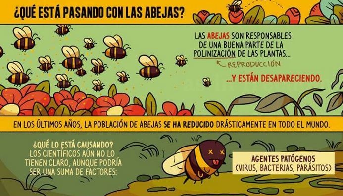 abejas1.png