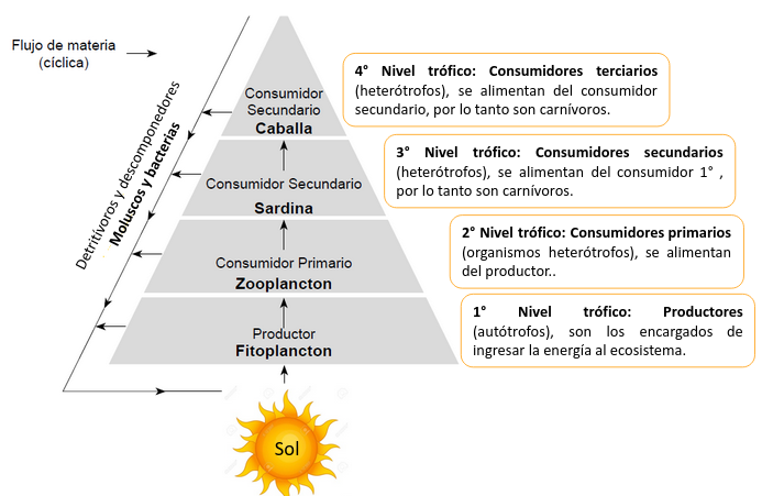 piramide-materia.png