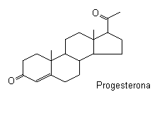 progesterona.png